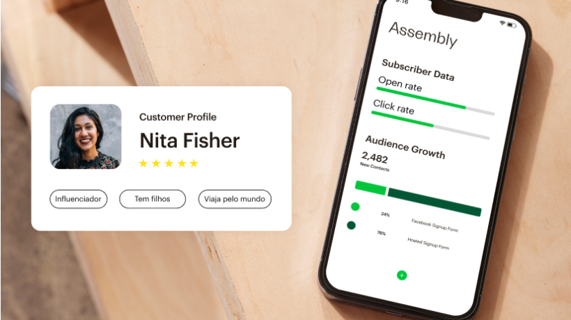 O aplicativo Mailchimp com métricas detalhadas do público, como taxa de cliques e abertura, ao lado de um cartão de perfil do cliente.